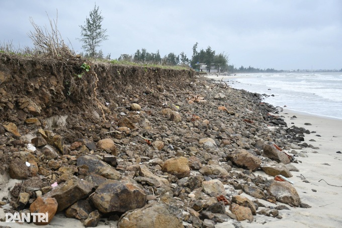 Storm and flood-tide surges ravage Quang Ngai beach - 8