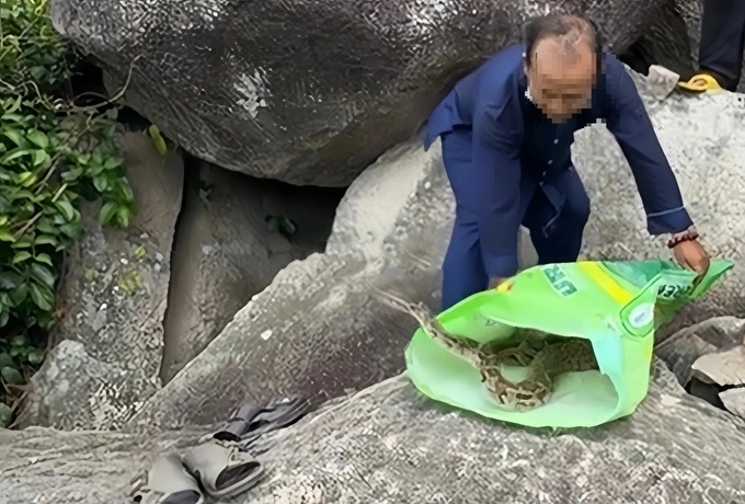 An Giang authorities capture 2-metre python after it slithers into home - 1