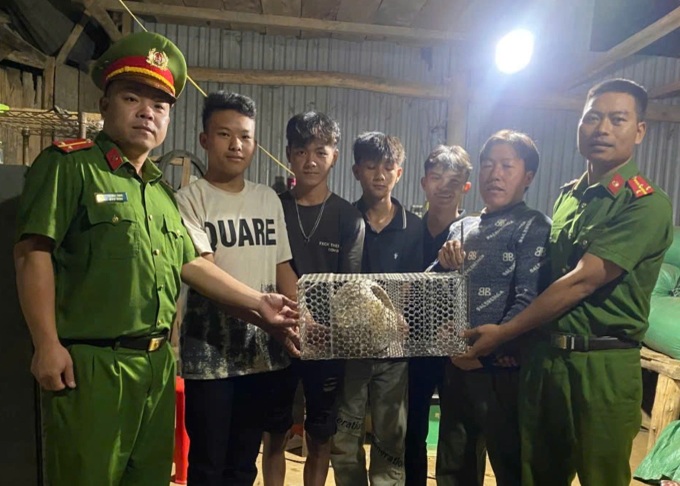 Rare pangolin found wandering onto Lam Dong road - 1