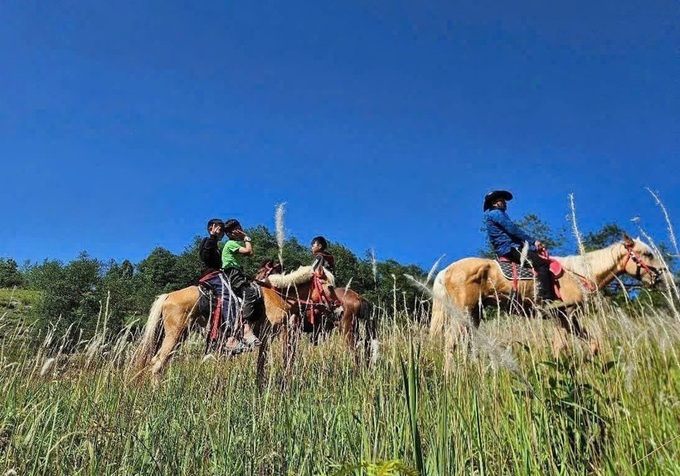 Horseback trekking debuts at Vietnam’s northernmost point - 1