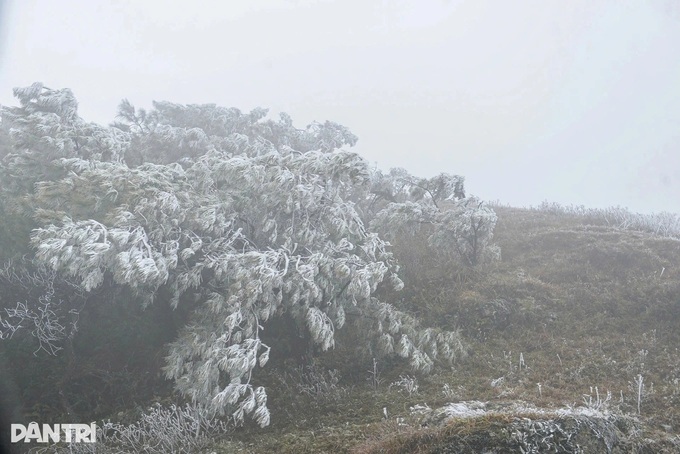 Strong cold spell grips northern Vietnam - 1 Strong cold spell grips northern Vietnam - 1