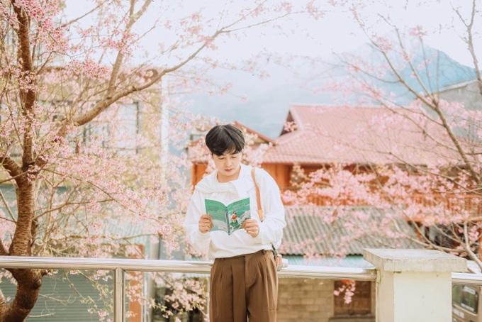 Cherry blossoms turn Ha Giang into a Japan-like winter escape - 2