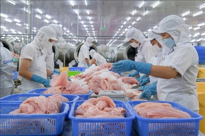 Seafood sector targets USD 11.5 billion in exports in 2026 - 1