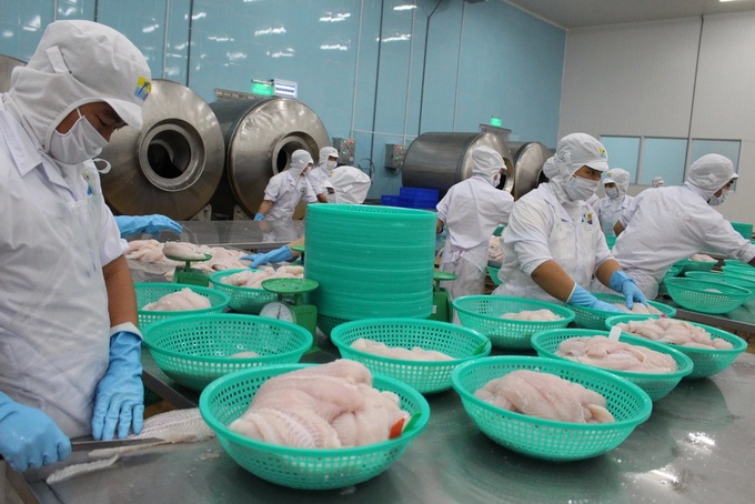 VASEP forecasts pangasius exports to hit USD 2.3 billion this year - 1