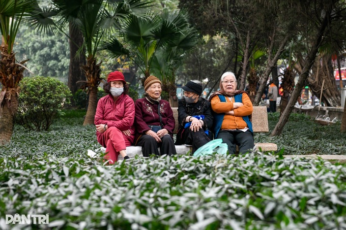 Hanoi park to undergo major overhaul - 4