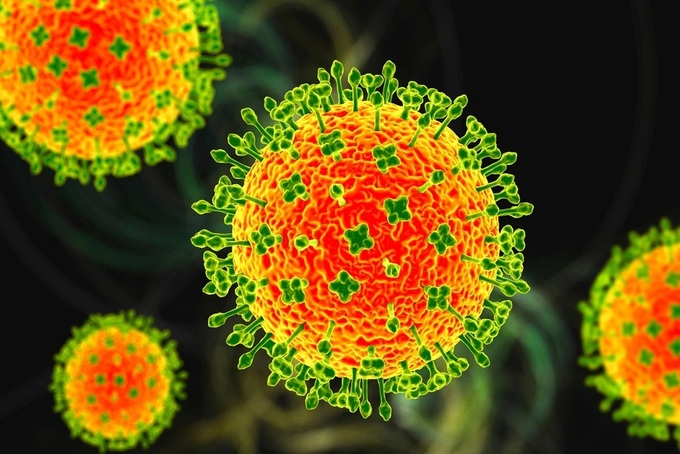 Vietnam health ministry warns public over Nipah virus risk - 1