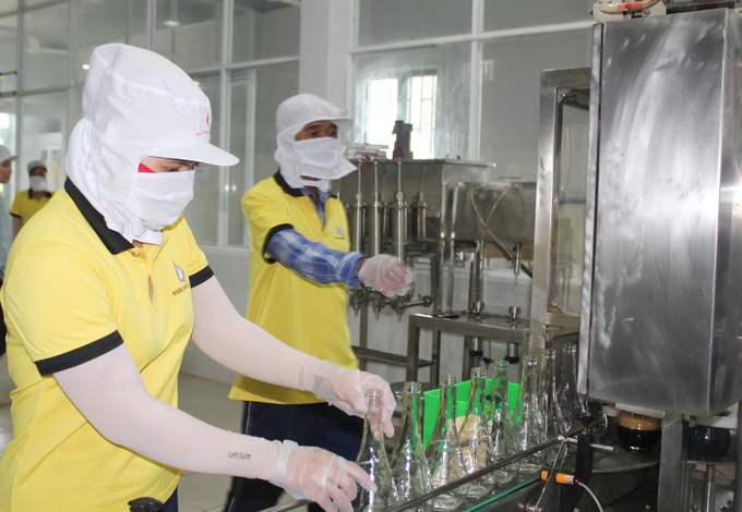 Phan Thiet fish sauce craft proposed for national heritage status - 1 Phan Thiet fish sauce craft proposed for national heritage status - 1