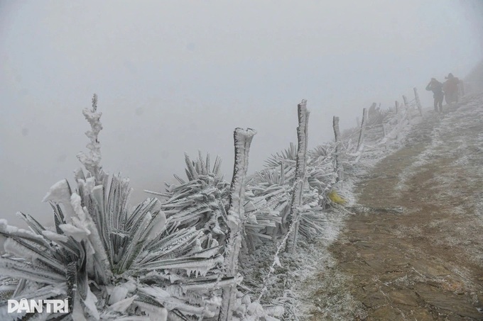 Strong cold spell forecasted to affect northern region - 1