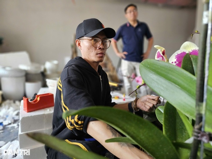 Tet rush boosts orchid arrangers’ earnings - 1