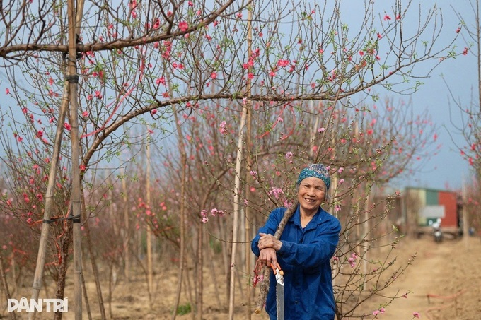 Favourable weather forecast for Tet holiday - 1