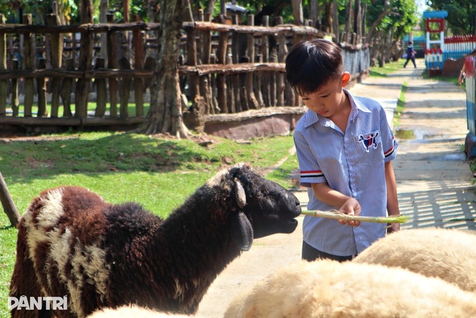 Can Tho resort draws crowds with Tet film sets and safari zoo - 5