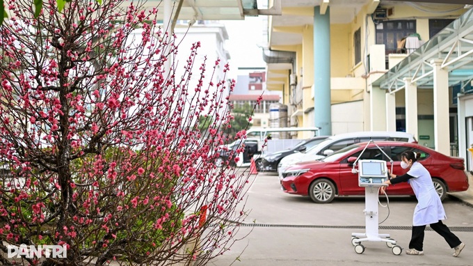 Spring colours fill Dantri photo contest - 18