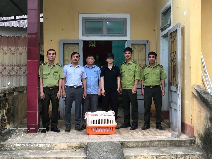 Quang Tri hands over rare otter to Cuc Phuong National Park - 1