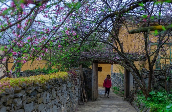 Japanese man helps transform Ha Giang tourism - 3 Japanese man helps transform Ha Giang tourism - 3