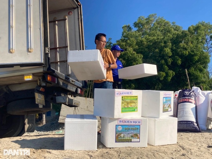 Over 1.1 million juveniles released into waters off Lam Dong - 1