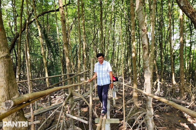 Exploring Monkey Island in the Mekong Delta’s largest mangrove forest - 7