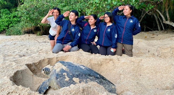 Turtle power drives Vietnam's coastal conservation efforts - 1