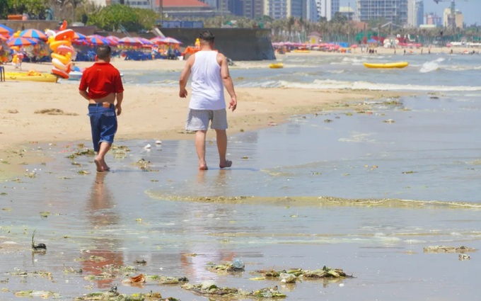 Unusual foam and colour changes reported at Vung Tau beach - 1 Unusual foam and colour changes reported at Vung Tau beach - 1