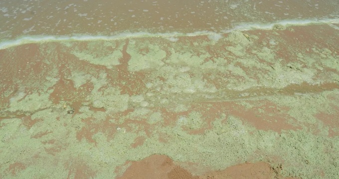 Unusual foam and colour changes reported at Vung Tau beach - 2 Unusual foam and colour changes reported at Vung Tau beach - 2