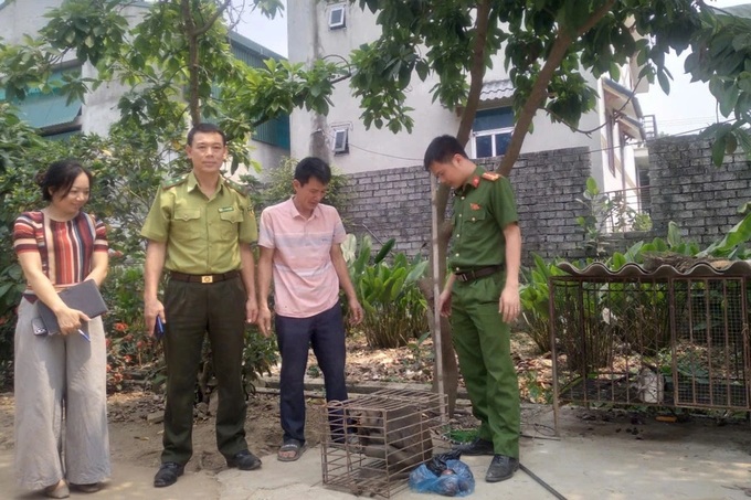 Rare macaque in Thanh Hoa returned to the wild - 1 Rare macaque in Thanh Hoa returned to the wild - 1