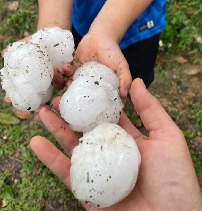 Hailstorms, strong winds injure five, damage 350 houses in northern Vietnam - 1