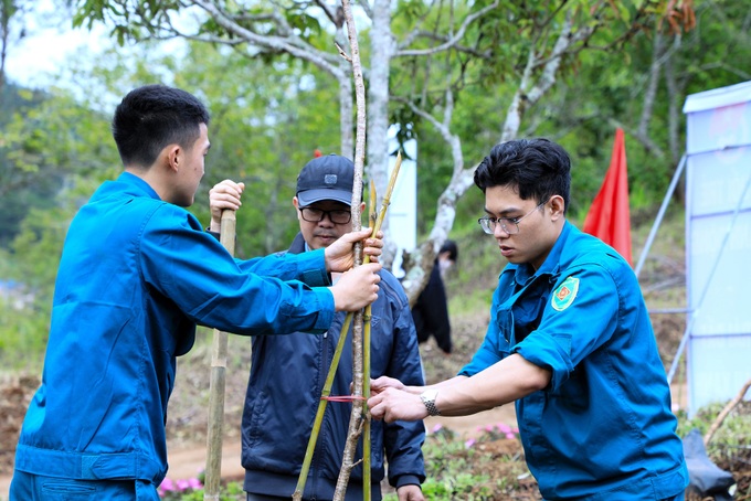 Lam Dong plants 1,000 trees at Tuyen Lam tourist area - 1