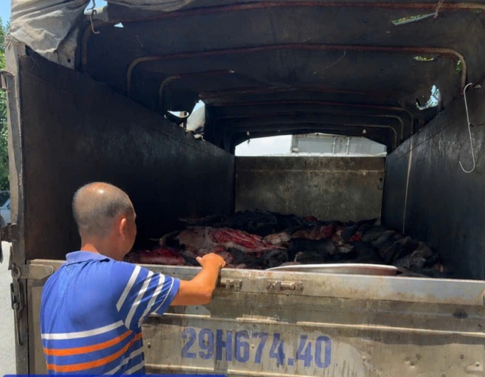 4 tonnes of spoiled animal hides seized en route to Hanoi - 1