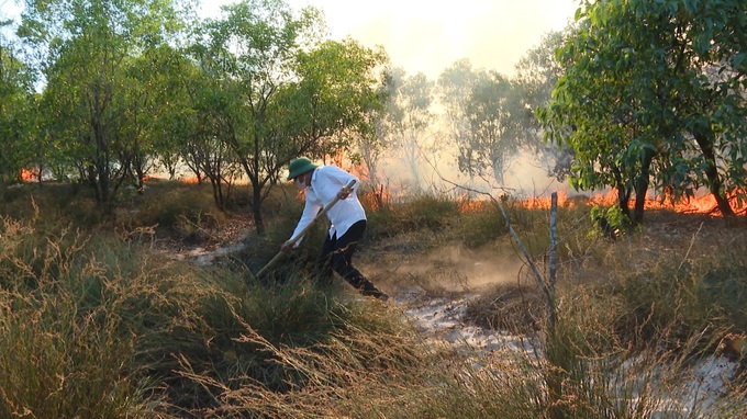 Massive wildfire destroys about 200ha of Quang Tri forest - 1