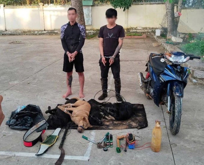 Two dog thieves arrested after stun gun attack in Lam Dong - 1
