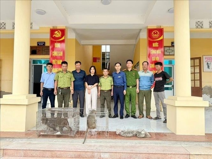 Haiphong residents hand over rare wild animals - 1 Haiphong residents hand over rare wild animals - 1