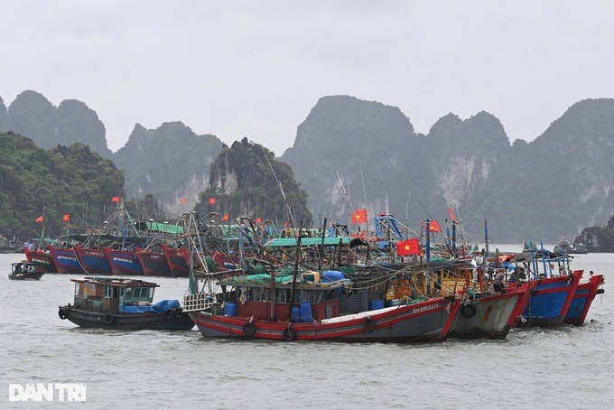 Quang Ninh, Ninh Binh impose sea bans as Storm Maysak nears - 1