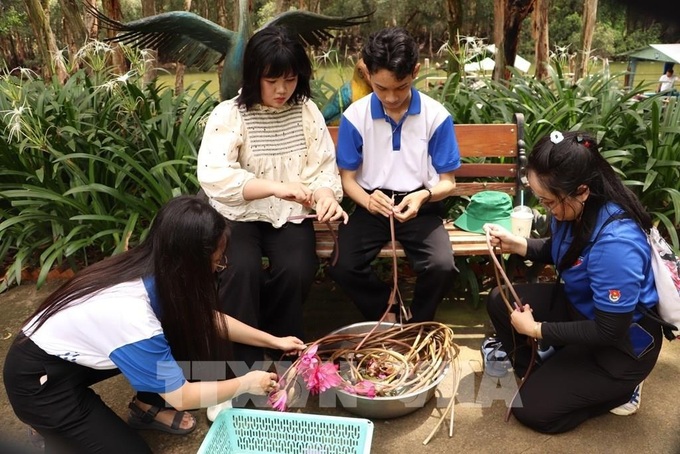 Tram Chim offers visitors Mekong wetlands experience - 7