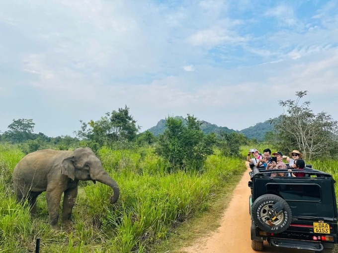 Direct Ho Chi Minh City-Colombo flights to launch in August - 1