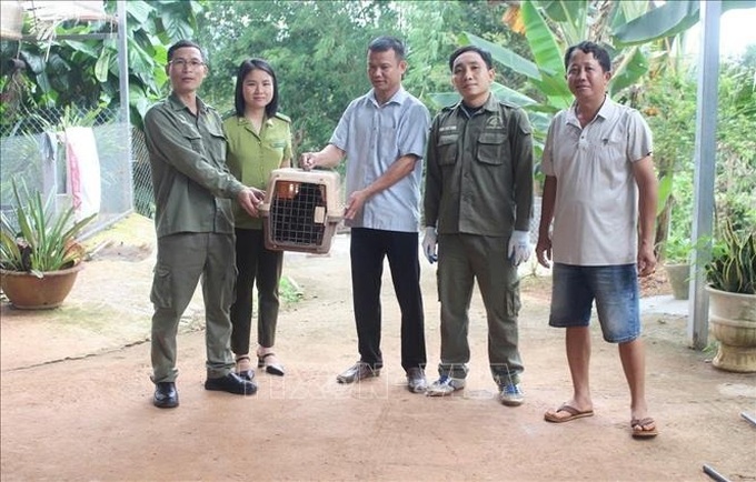 Dong Nai residents hand over three endangered monkeys - 1 Dong Nai residents hand over three endangered monkeys - 1