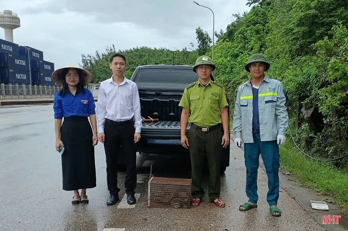 Ha Tinh resident hands over 7kg rare python - 1 Ha Tinh resident hands over 7kg rare python - 1