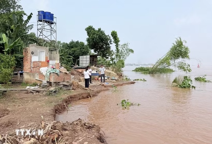 Riverbank erosion threatens thousands of households in An Giang - 1 Riverbank erosion threatens thousands of households in An Giang - 1
