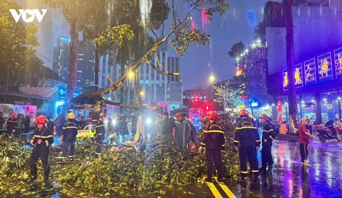 Man killed by falling tree branch during storm in Ho Chi Minh City - 1 Man killed by falling tree branch during storm in Ho Chi Minh City - 1