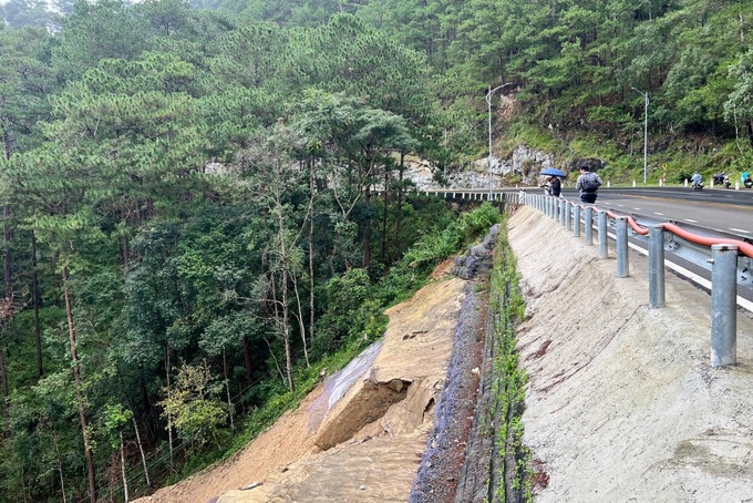 26 pine trees felled along Dalat's Prenn Pass over safety risks - 2 26 pine trees felled along Dalat's Prenn Pass over safety risks - 2