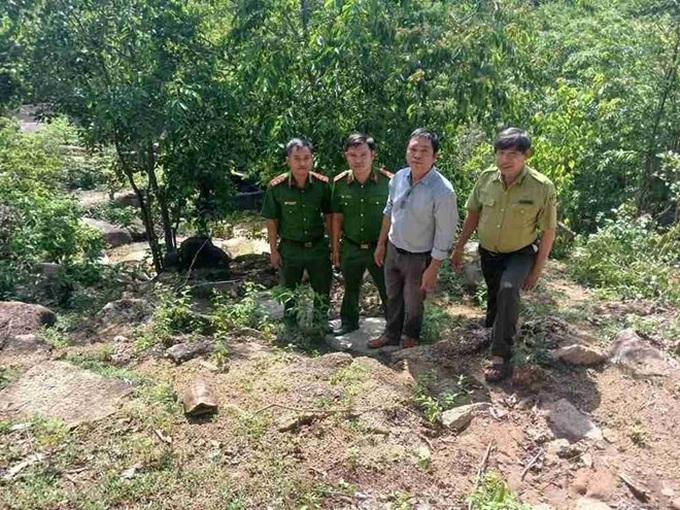 Rare 2kg elongated tortoise released back into the wild - 1