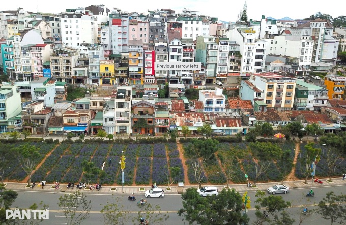 Lam Dong plans new park near Dalat Night Market - 1