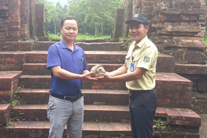 Rare turtle, pangolin released into My Son forest - 2