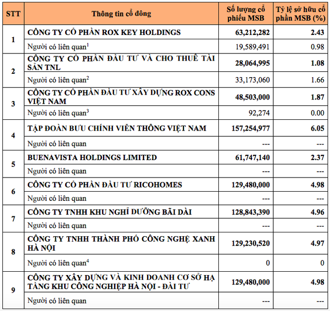 Nhóm 9 doanh nghiệp nắm trên 33% vốn MSB - 1