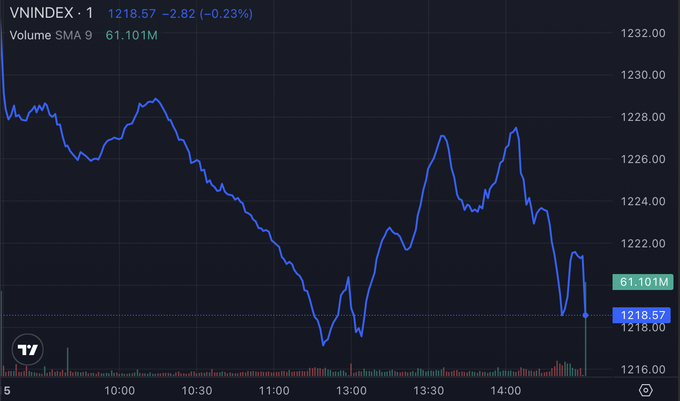 VN-Index thủng 1.220 điểm, giới đầu tư “buốt tim” vì tài khoản bị bào mòn - 1