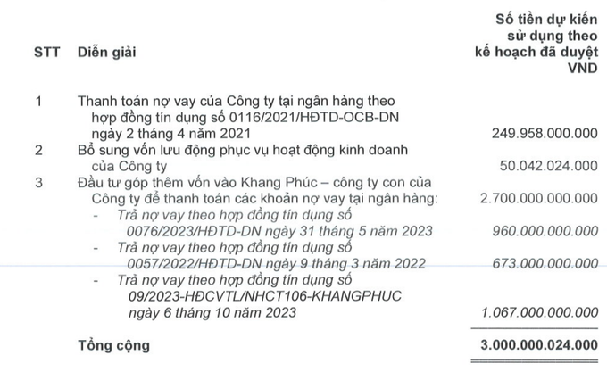 Huy động 3.000 tỷ đồng, Khang Điền đi trả nợ và góp vốn công ty con - 1