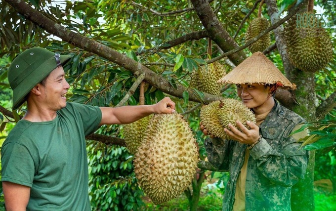 Gỡ khó cho sầu riêng, thông suốt cho vải thiều - 1 Gỡ khó cho sầu riêng, thông suốt cho vải thiều - 1