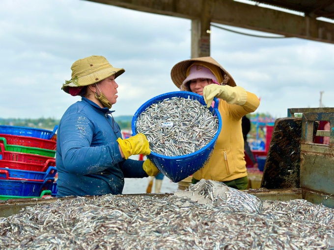 Bình yên làng chài Quảng Ngãi - 2