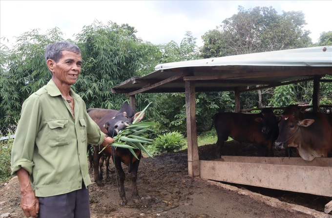 Bộ đội Cụ Hồ: Thời chiến chống giặc, thời bình chống nghèo - 3 Bộ đội Cụ Hồ: Thời chiến chống giặc, thời bình chống nghèo - 3