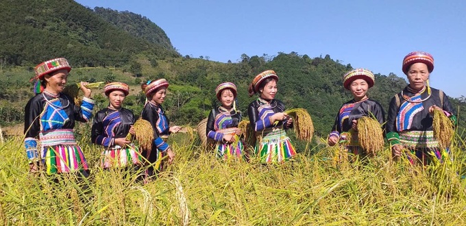 Hợp tác xã - “Bà đỡ mát tay” giúp dân thoát nghèo - 1 Hợp tác xã - “Bà đỡ mát tay” giúp dân thoát nghèo - 1