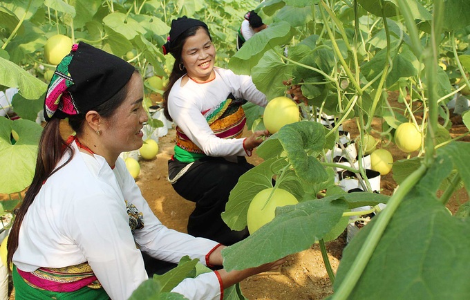 Xây dựng chuẩn nghèo đa chiều phù hợp  mục tiêu phát triển quốc gia - 1