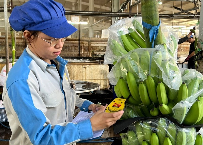 Xuất khẩu rau quả dự báo đạt hơn 8 tỷ USD - 1